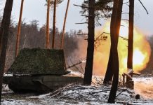 ВС России освободили Новопавловку в ДНР и Павловку в Запорожской области