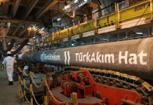 «Никак успокоиться не могут»: Путин сообщил о возможных попытках подрывов «Турецкого» и «Голубого потоков»