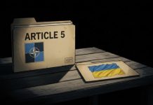 «Никто не хочет вступаться за Киев»: почему в Финляндии призвали США не приравнивать гарантии Украине к Уставу НАТО