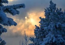 От Якутии до Черноземья: синоптики предупредили об аномальных морозах в ряде регионов России