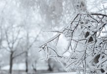 Синоптик Ильин: в понедельник в столичном регионе снова похолодает до -20 °С