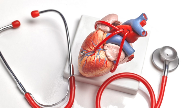 Врач перечислила причины и симптомы порока сердца