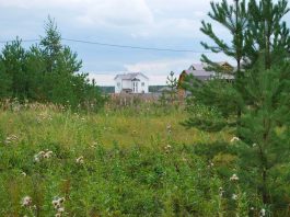 Почему стоит купить земельный участок в ДНП?