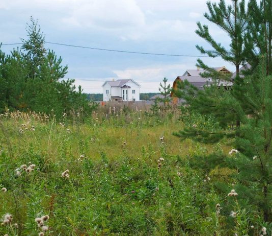 Почему стоит купить земельный участок в ДНП?