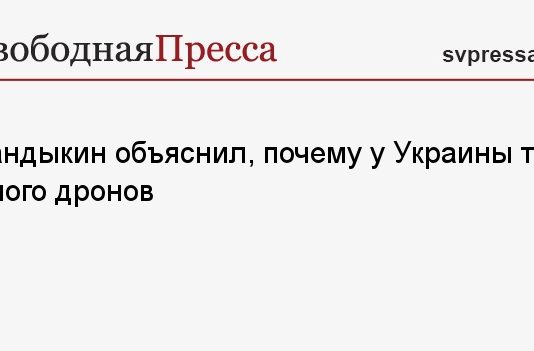Дандыкин объяснил, почему у Украины так много дронов
