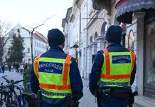 «Деньги украинской военной мафии»: что известно о задержании в Венгрии семерых украинцев с валютой и золотом