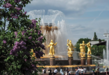 Депутат Стенякина: россиян ждут самые короткие майские праздники за восемь лет