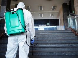 Дезинсекция и дератизация: как правильно заключить договор с профессиональной службой