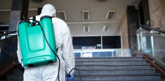 Дезинсекция и дератизация: как правильно заключить договор с профессиональной службой