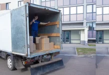 Вывоз бытового мусора: организация, проблемы и перспективы