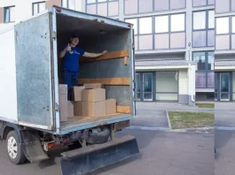 Вывоз бытового мусора: организация, проблемы и перспективы