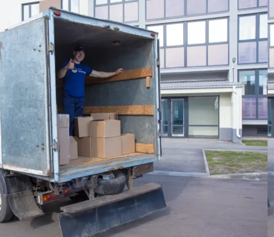 Вывоз бытового мусора: организация, проблемы и перспективы