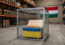 «Незаконно» задержанные деньги: Украина требует от Венгрии вернуть валюту и золото