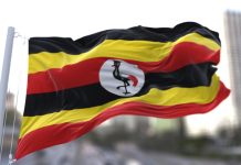 Политолог объяснила готовность Уганды присоединиться к конфликту против Ирана