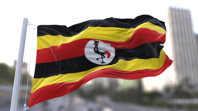 Политолог объяснила готовность Уганды присоединиться к конфликту против Ирана