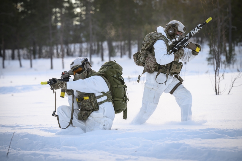 Попытка перераспределить влияние: в Арктике стартовали масштабные учения НАТО Cold Response 2026
