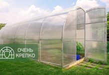 Арочные теплицы: особенности, преимущества и правила выбора