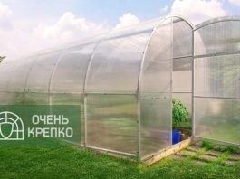 Арочные теплицы: особенности, преимущества и правила выбора