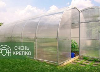 Арочные теплицы: особенности, преимущества и правила выбора