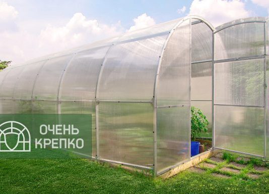 Арочные теплицы: особенности, преимущества и правила выбора