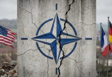 Союзник становится всё менее предсказуемым: как углубляется раскол между Вашингтоном и Брюсселем в НАТО