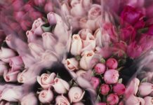 В России предложили ограничить цены на букеты к 8 Марта