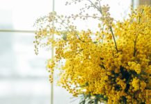 Врач перечислила цветы, которые могут спровоцировать аллергическую реакцию