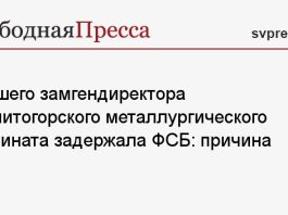 Бывшего замгендиректора Магнитогорского металлургического комбината задержала ФСБ: причина