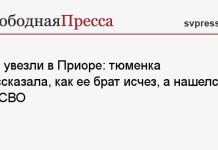 Его увезли в Приоре: тюменка рассказала, как ее брат исчез, а нашелся на СВО