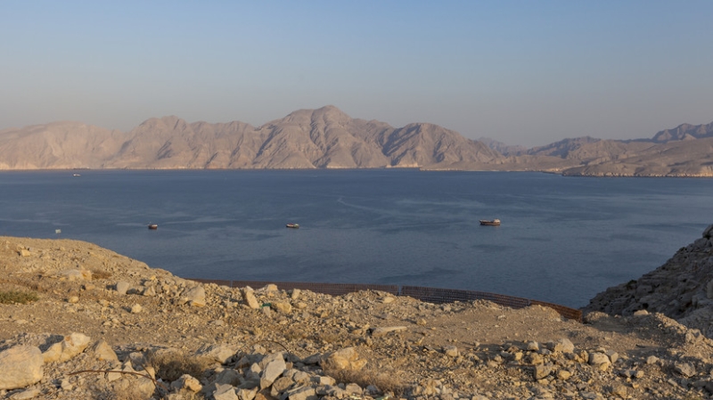 «Элемент дипломатической игры»: что может стоять за планами Ирана по Ормузскому проливу