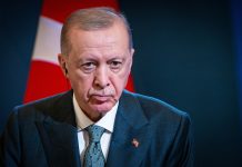 Эрдоган заявил об активизации усилий по переговорам между Москвой и Киевом