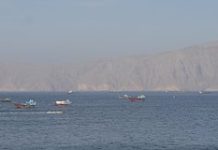 Французское судно попало под огонь в Ормузском проливе