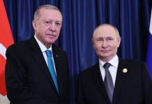 «Констатировали совпадение позиций»: Путин и Эрдоган обсудили ближневосточный и украинский вопросы
