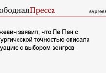 Межевич заявил, что Ле Пен с хирургической точностью описала ситуацию с выбором венгров