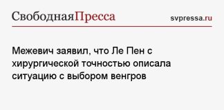 Межевич заявил, что Ле Пен с хирургической точностью описала ситуацию с выбором венгров