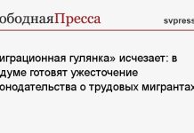 «Миграционная гулянка» исчезает: в Госдуме готовят ужесточение законодательства о трудовых мигрантах