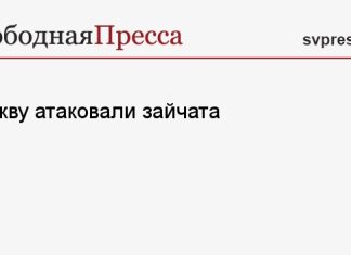 Москву атаковали зайчата