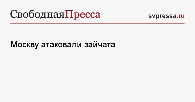 Москву атаковали зайчата