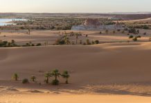 Названы причины, почему Африка отвернулась от Франции в пользу России