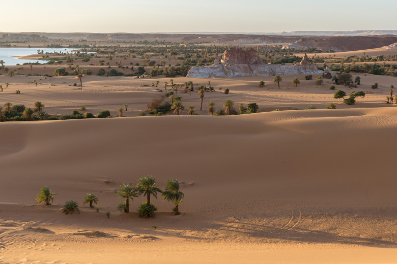 Названы причины, почему Африка отвернулась от Франции в пользу России