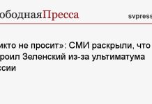 «Никто не просит»: СМИ раскрыли, что устроил Зеленский из-за ультиматума России