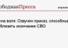 Нужна воля: Озвучен приказ, способный приблизить окончание СВО