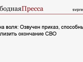 Нужна воля: Озвучен приказ, способный приблизить окончание СВО