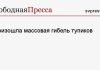 Произошла массовая гибель тупиков