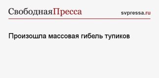 Произошла массовая гибель тупиков