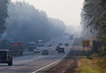 Россиянам напомнили о критически важном параметре при выборе машины