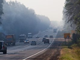 Россиянам напомнили о критически важном параметре при выборе машины