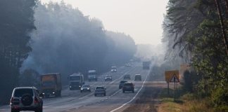 Россиянам напомнили о критически важном параметре при выборе машины