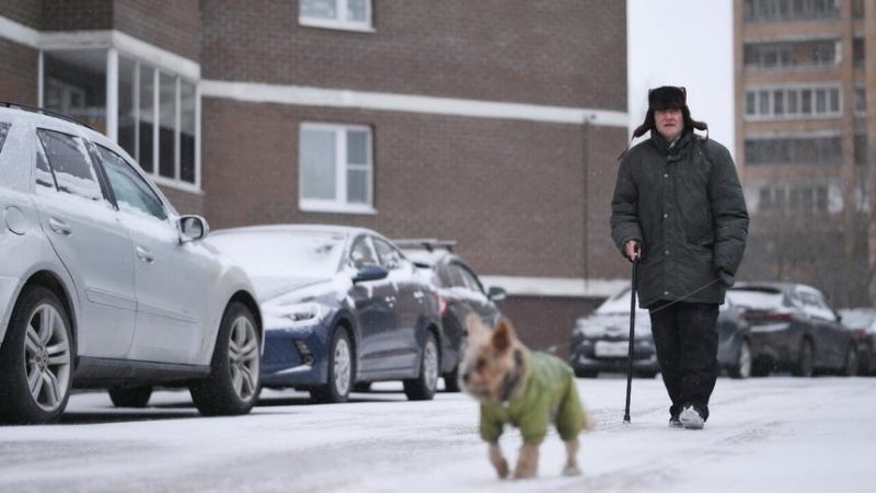 Россиянам напомнили о штрафах за испачканную собакой машину