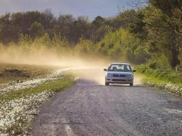 Россиянам указали на уязвимость китайских машин в сезон отпусков